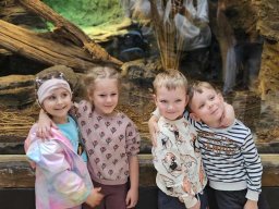 2025-05-20 Biedronki w ZOO